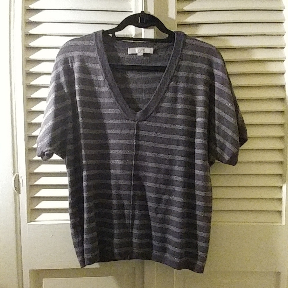 LOFT V Neck Sweater